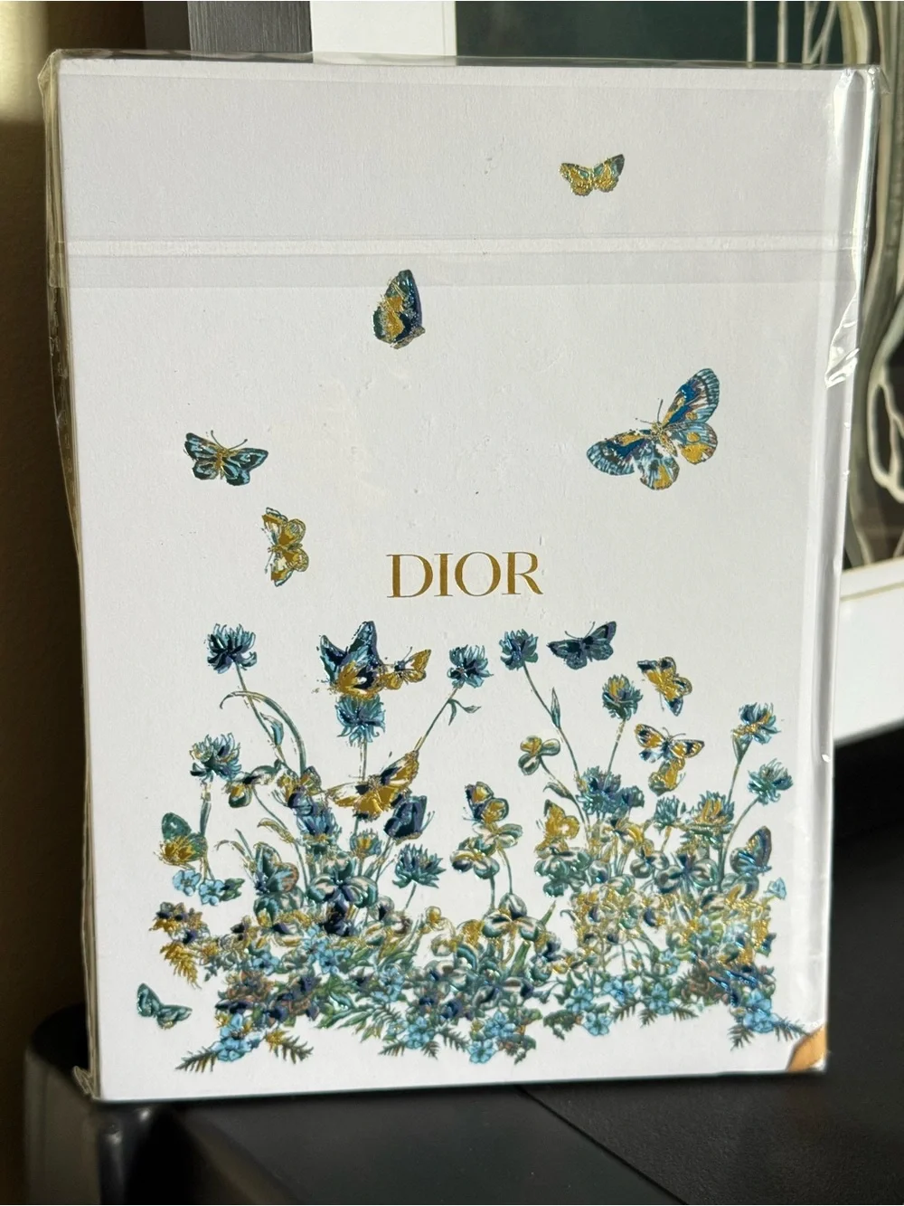 NEW DIOR AROUND THE WORLD NOTEBOOK BLUE GREEN